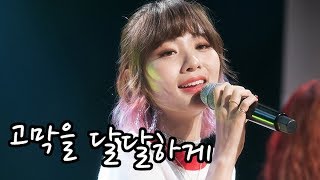 S영상 볼빨간사춘기 바람사람 무대 1위 하면 냅다 버스킹 가즈아 [upl. by Kelsey609]