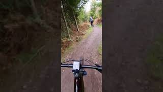 Cannock Chase autumn bike ride [upl. by Syxela]