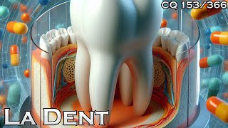 Lanatomie dune dent  CQ153 [upl. by Aelc]