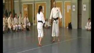 Shorinjikempo technique demonstration [upl. by Botti]