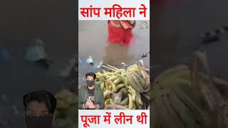 छठ पूजा के दौरान पानी में तैरते हुए आया सांप shorts chhathpuja [upl. by Idarb]