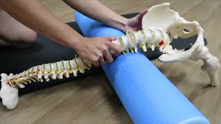 Foam Roller Tutorial for Lower Back Pain [upl. by Elraet]