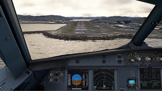 Microsoft Flight Simulator Landings But Its Either The Fenix A319 A320 or A321 [upl. by Bartko987]