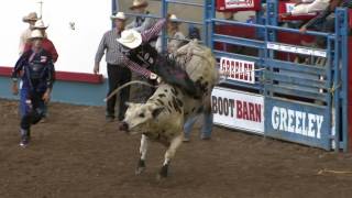 2016 Greeley Stampede PRCA Xtreme Bulls Highlights [upl. by Ayit]