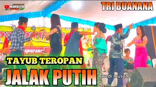 TAYUB TEROPAN  JALAK PUTIH AUDIO JERNIH DIDENGAR SAMBIL NGOPI [upl. by Bernstein]