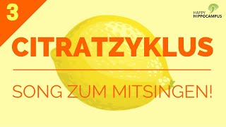 Citratzyklus Song Citratzyklus lernen mit Eselsbrücken 33  Biochemie  HappyHippocampus [upl. by Bluma]