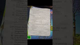 Std 8 history and civics Paper semester exam 1 anime gens haru ventricosus pichipichipit [upl. by Niessuh]