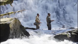 Lindell Shorts Tongass Steelhead [upl. by Ayatal232]