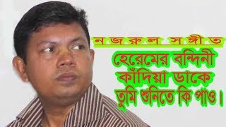 হেরেমের বন্দিনী কাঁদিয়া ডাকে  আব্দুর রউফ  কাজি নজরুল ইসলাম [upl. by Rednas]