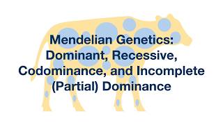 Mendelian Genetics Dominant Recessive Codominance and Incomplete Dominance Explained [upl. by Witha]