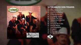 14 Tucanazos Bien Pesados Album Completo – Los Tucanes De Tijuana [upl. by Aneerak]