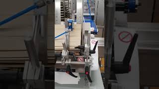 Redpack P325E flow wrap machine amp Longford feeder packing cookies [upl. by Katharine]