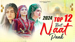 Naat Sharif  2024 Naat Sharif  New Naat Sharif  Beautiful Naat Sharif 2024  Heart Touching Naat [upl. by Kopple]