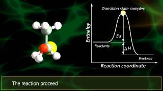 SN2 Reactions  University Of Surrey [upl. by Camille123]