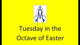 Tuesday in the Octave of Easter [upl. by Nahtaneoj]