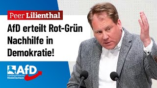 AfD erteilt RotGrün Nachhilfe in Demokratie – Peer Lilienthal AfD [upl. by Ariella943]