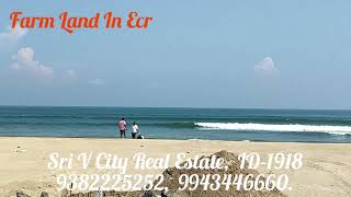 ID1918 Sea Side Superb Farm Land Sale In Ecr [upl. by Heise190]