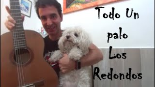 🎼Todo un palo Los redondos de Ricota cover guitarra fingerstyle Nicolas Olivero Ft Margarita [upl. by Hjerpe]