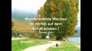 WUNDERSCHÖNE WACHAU IM HERBST 2024 AUF DEM SCHIFF ERLEBENNader Michael AJM [upl. by Nennek49]