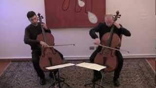 Duo Janigro  Popper op16  II Gavotte [upl. by Polk613]