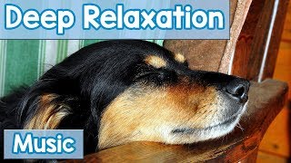 15 Hours of Deep Relaxation Music for Dogs Music to Relax Your Dog Completely and Help with Sleep [upl. by Bower]