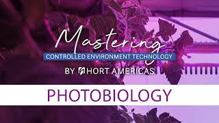 Mastering Photobiology  Plant processes affected by light [upl. by Santiago]