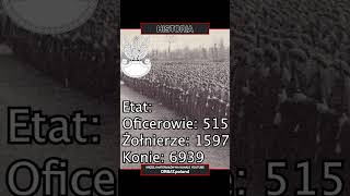 Ilu żołnierzy liczyła polska dywizja piechoty w 1939 roku [upl. by Nnaillij]