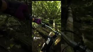 Mountain Bike crash compilation mountainbiking mtblife mtbgopro gopro fails shorts cycling [upl. by Theis]