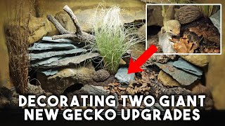 Giant Naturalistic Leopard Gecko Tank Builds  HOW WE DID IT [upl. by Auric625]