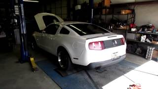 2010 Mustang GT stroker kit LOUD [upl. by Eciral]