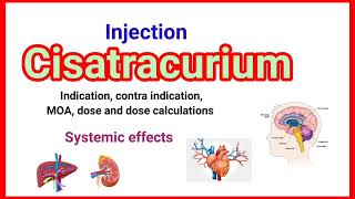 Inj Cisatracurium detail presentation anaesthesiawithbabar2576 [upl. by Colbert]