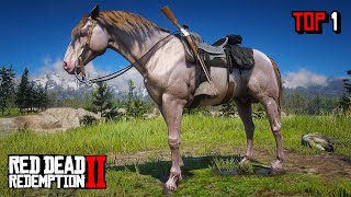 Proper Way To Get The Best amp Fastest Perlino Andalusian Horse  RDR 2 [upl. by Lifton]