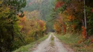 Parenzana  beautiful bike trail in Northwest Istria [upl. by Gnolb]