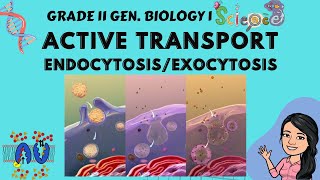 Active Transport  Endocytosis amp Exocytosis  SodiumPotassium Pump  Gen Biology 1 Tagalog [upl. by Ravi]