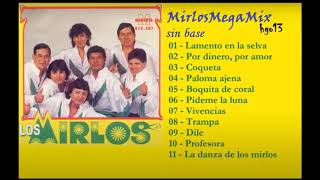 LOS MIRLOS Enganchados peligrosos DJ HGTO [upl. by Ahseinar]