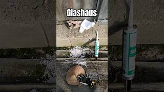 Altes Glashaus Glas Glasscheibe richtig mit Silikon kleben reparieren [upl. by Prichard]