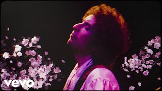 Bob Dylan  I Want You Live At Budokan Tokyo Feb 28 1978 [upl. by Alleuqahs]