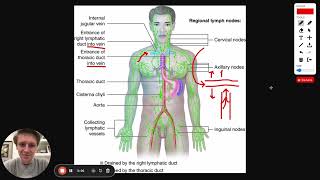 MCAT Question of the Day The Lymphatic System [upl. by Rodmann393]