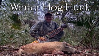 Winter Hog Hunt 2024 Traditional Bowhunting [upl. by Aivle20]