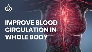 Blood Circulation Frequency Rife Frequency for Better Blood Flow [upl. by Bernardine732]