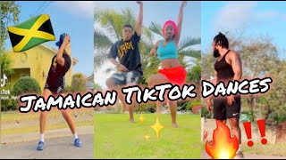 NEW JAMAICAN TIKTOK DANCE MASHUP 2024 [upl. by Dodds173]