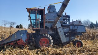 Harvesting Corn With a Gleaner Combine [upl. by Limaa]