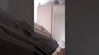 Ludovico Einaudi Una Mattina Live A Fip 2015 on piano [upl. by Carnahan787]