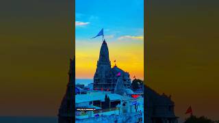 HE DWARKADHISH🛕 dwarkadhishstatus shortvideo jaydwarkadish dwarka dwarkaflats madhav [upl. by Nielson263]