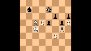 Tigran Petrosian vs Helder Camara  Nice Olympiad 1974 chess [upl. by Neumark]