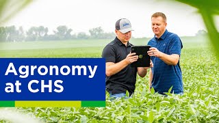 Our agronomy business at a glance [upl. by Manton]