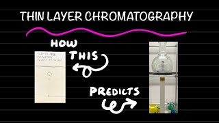 How to perform thin layer chromatography tutorial [upl. by Alleinnad]