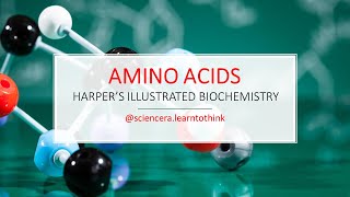 The Complete Guide To Amino Acids Everything You Need To Know Harpers Illustrated Biochemistry [upl. by Lucio]