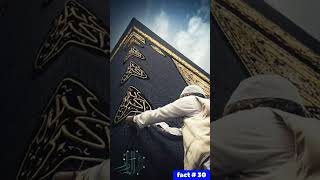 Amazing Fact  30 about Kaaba History of Kaaba in urdu  Hindi  viral shorts shortvideo [upl. by Ecnarret]