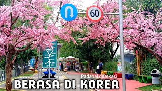 GRAND SPLASH WISATA BEKASI ala Korea COCOK UNTUK KELUARGA [upl. by Hannej]